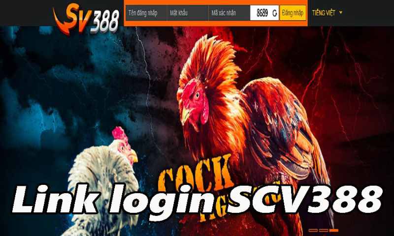 SV388 – Link vào Sfv388, đăng nhập scv388 không chặn - 1