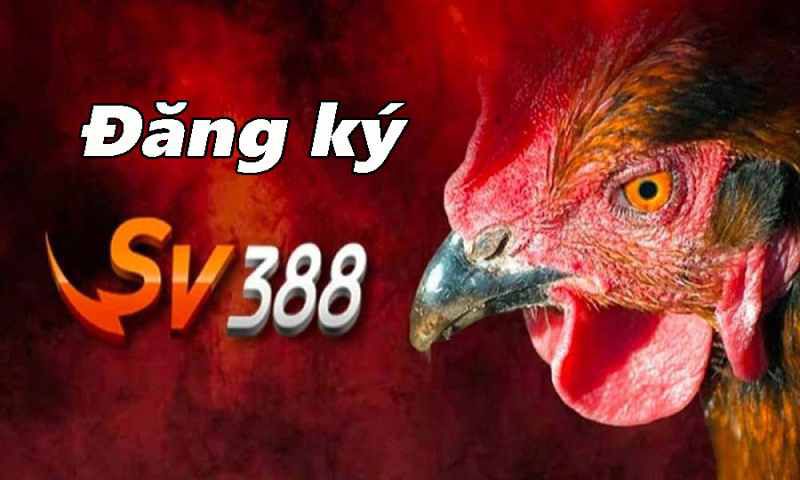 SV388 – Link vào Sfv388, đăng nhập scv388 không chặn - 3